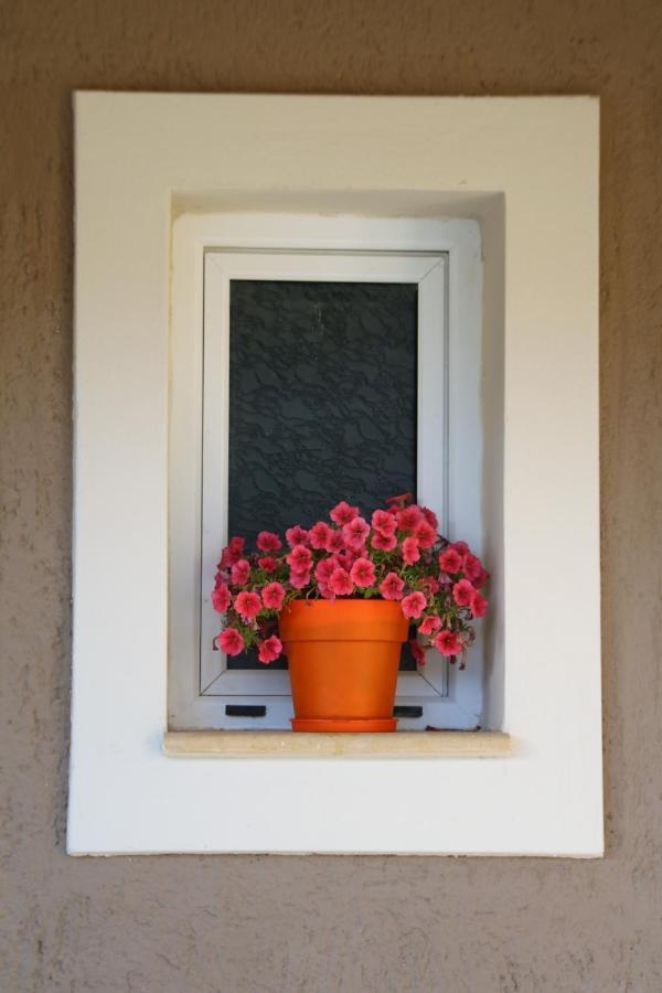 Nikoleta'S Studios Argostolion Dış mekan fotoğraf
