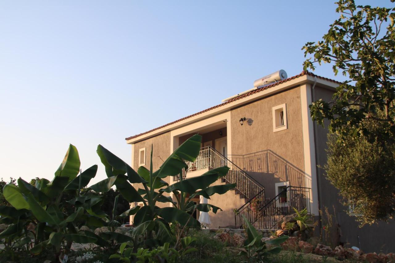 Nikoleta'S Studios Argostolion Dış mekan fotoğraf